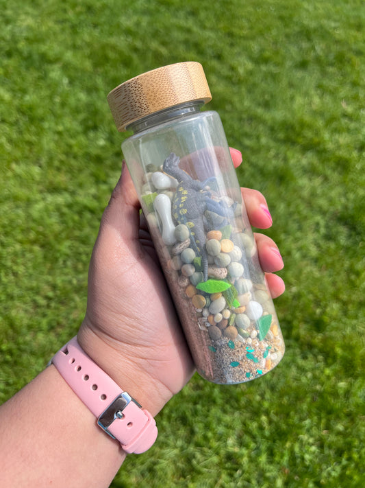 Dino Sensory Shaker Bottle |  Montessori fidget Bamboo Bottle
