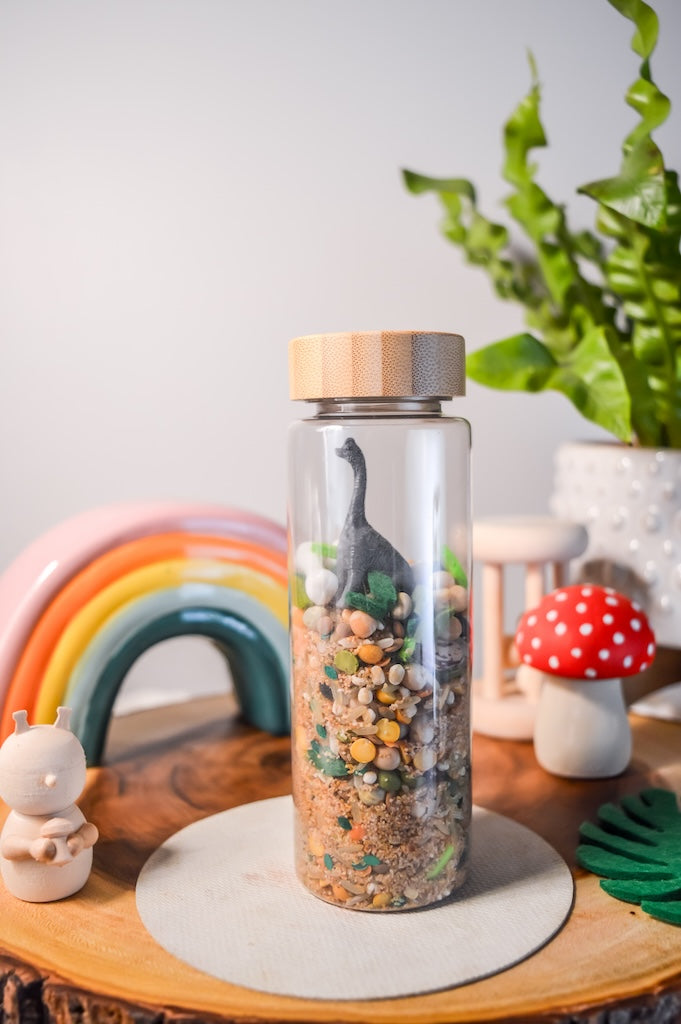 Dino Sensory Shaker Bottle |  Montessori fidget Bamboo Bottle